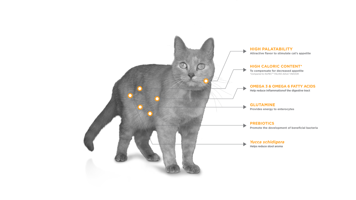 Nupec Digestive Health para Gato 1.5kgs