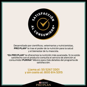 Pro Plan LiveClear Alimento Seco Reductor de Caspa y Alérgenos en Pelaje de Gato Receta Salmón para Gato