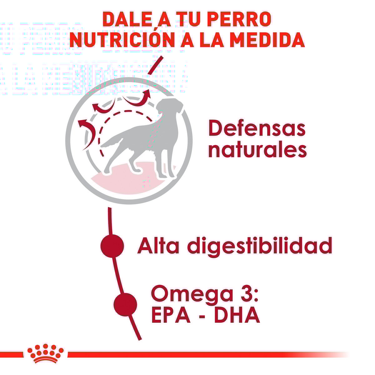 Royal Canin Alimento Seco para Perro Adulto Raza Mediana