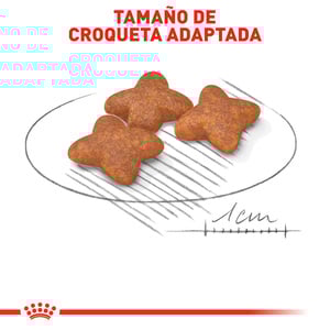 Royal Canin Alimento Seco para Perro Adulto Raza Pequeña