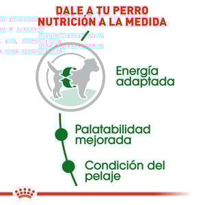 Royal Canin Alimento Seco para Perro Adulto Raza Pequeña