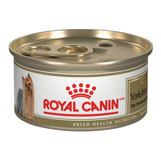 Royal Canin Yorkshire Terrier Adulto lata
