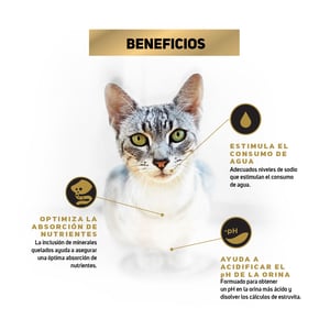 Pro Plan Urinary Alimento Seco para Gato Adulto Receta Pollo