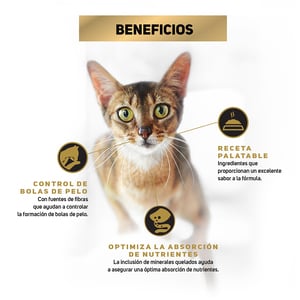 Pro Plan Optifit Reduced Calorie Alimento Seco Light para Gato Adulto Receta Pollo y Arroz