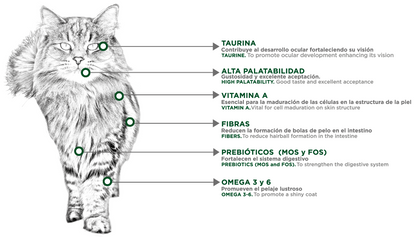 Nupec Felino Hairball