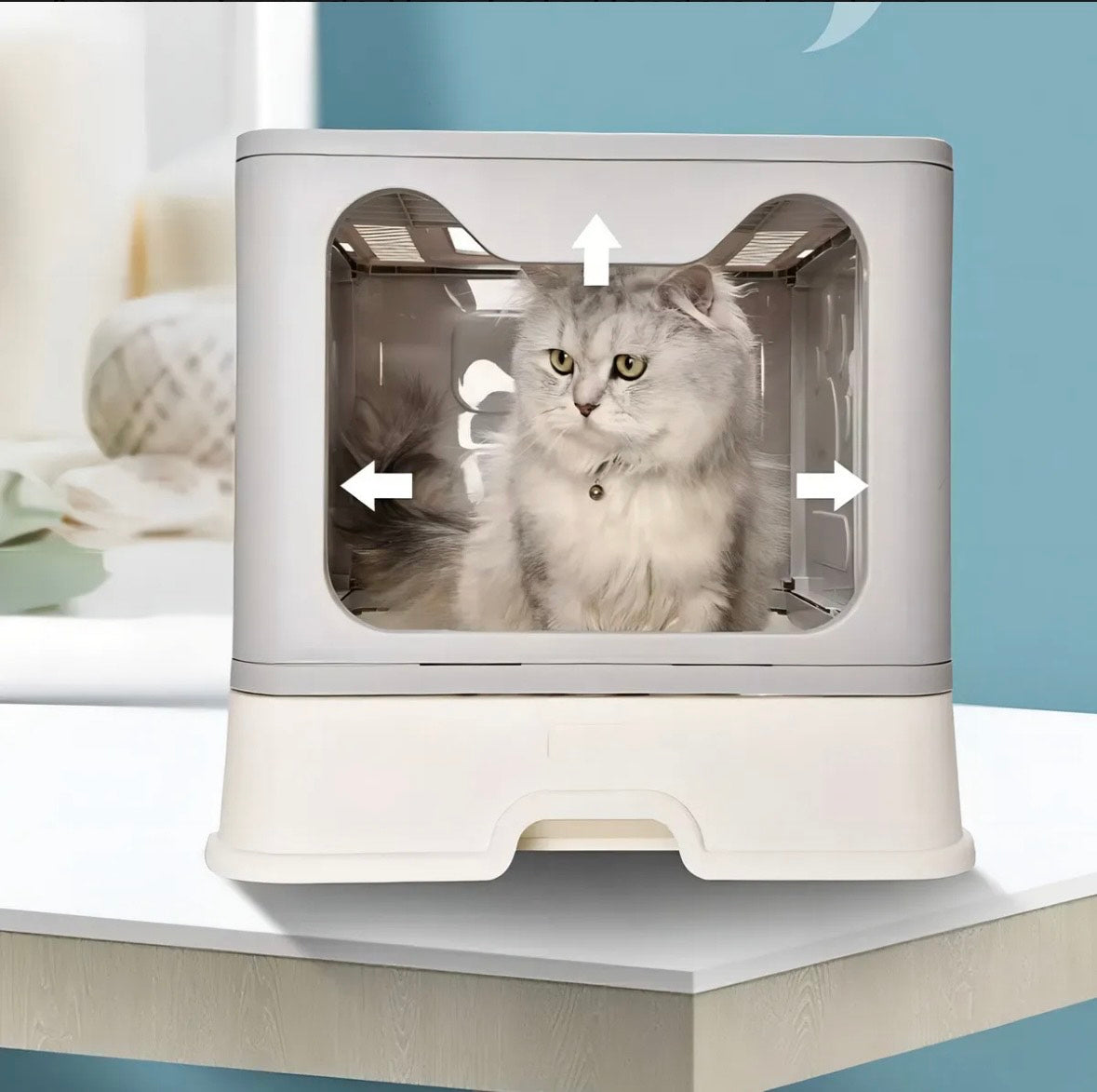 Arenero Curiosity Petto