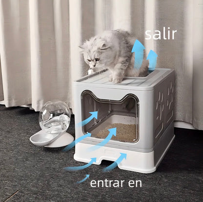 Arenero Curiosity Petto