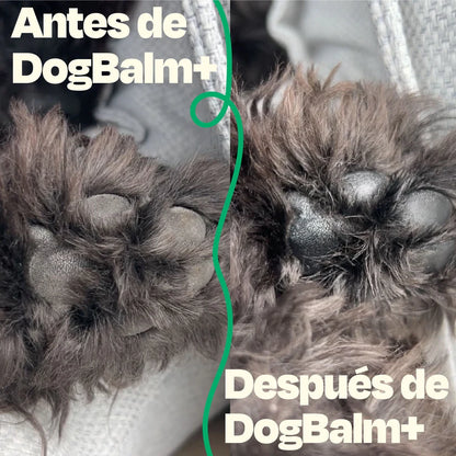 Balsamo Hidratante - Dog Balm Dogelthy