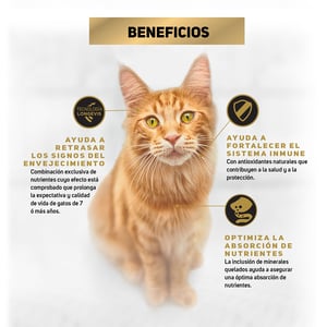 Pro Plan Optiage Alimento Seco para Gato Senior Receta Pollo y Arroz