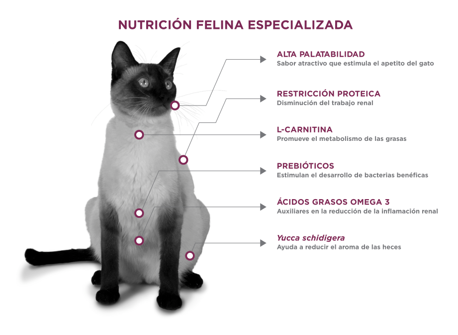 Nupec Renal Care para Gato 1.5kgs