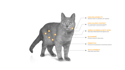 Nupec Digestive Health para Gato 1.5kgs