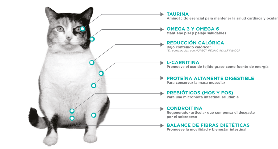 Nupec Felino Weight Care