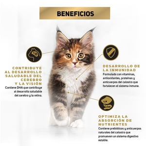 Pro Plan Optistart Alimento Seco para Gatito