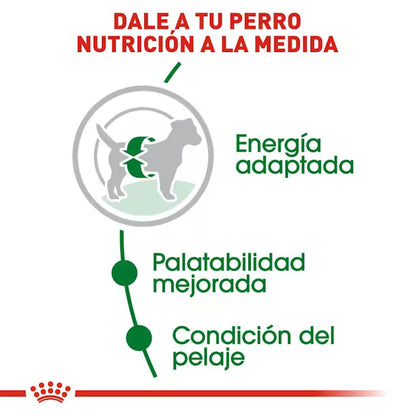 Royal Canin Small Adult /Adulto Raza Pequeña